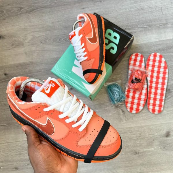 SB Orange Lobster - Image 2