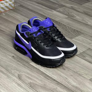 Airmax DW Persian Violet